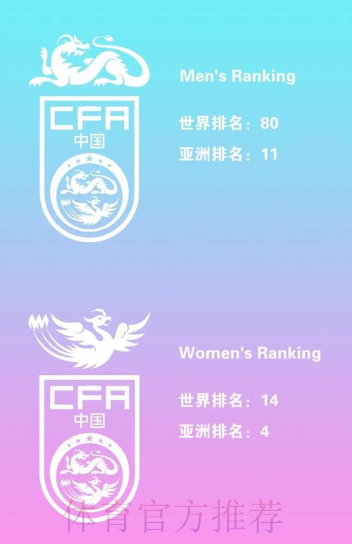 最新世界杯直播排行及官方网址推荐